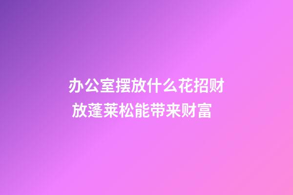 办公室摆放什么花招财 放蓬莱松能带来财富